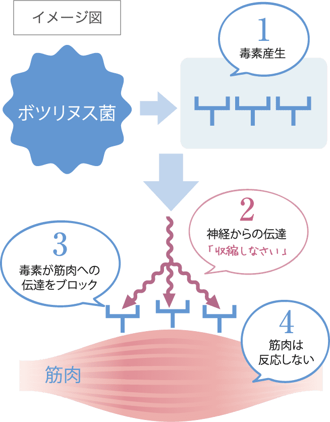 イメージ図