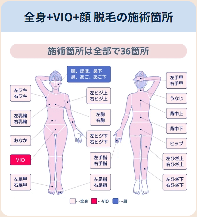 フレイアクリニックの施術パーツ