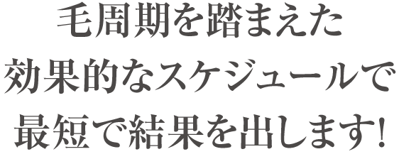 毛周期を踏まえた効果的なスケジュールで最短で結果を出します！