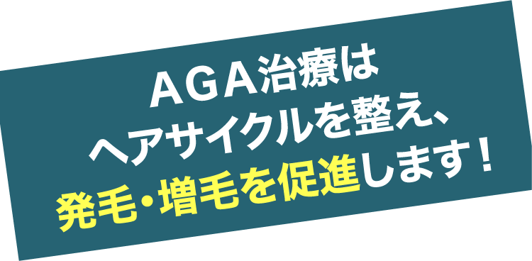 AGA治療はヘアサイクルを整え、発毛・増毛を促進します!